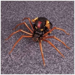 Transformers Masterpiece MP-46 Blackarachnia Beast Wars