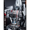 Dream Star Toys DST01-005 Scorch Flight