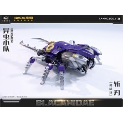 Cang-Toys TA-HCZ001 Blacanidae