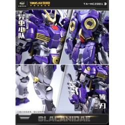 Cang-Toys TA-HCZ001 Blacanidae